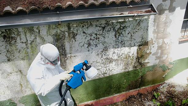 Trusted Mold Testing service in Barnesville, MD - Cheap Mold Removal